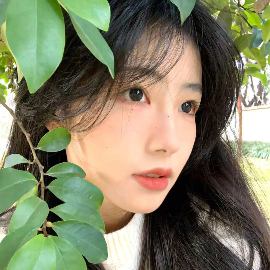 一个黑暗的故事