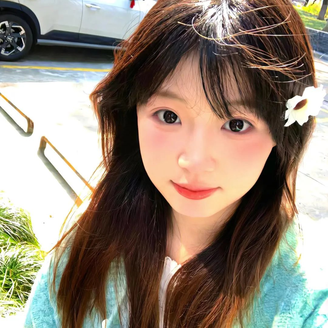春花秋月未了情
